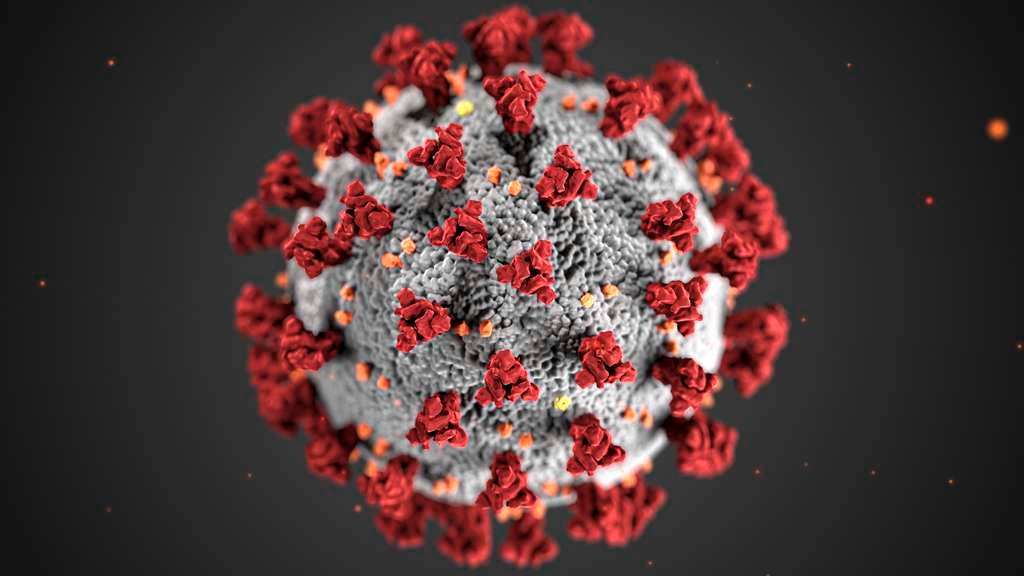 covid-19-coronavirus-covid-cell-pandemic-corona-virus-1608796-pxhere.com (1)