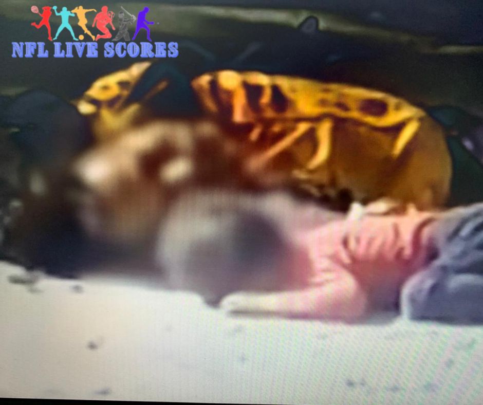 Two girls shot in Gaza